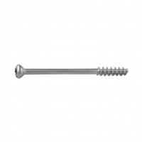 Cancellous Screw